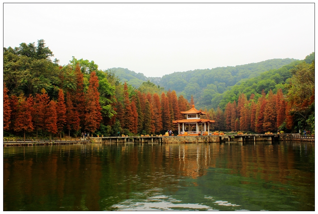 src=http___img8.zol.com.cn_bbs_upload_14150_14149447.jpg&refer=http___img8.zol.com.jpg